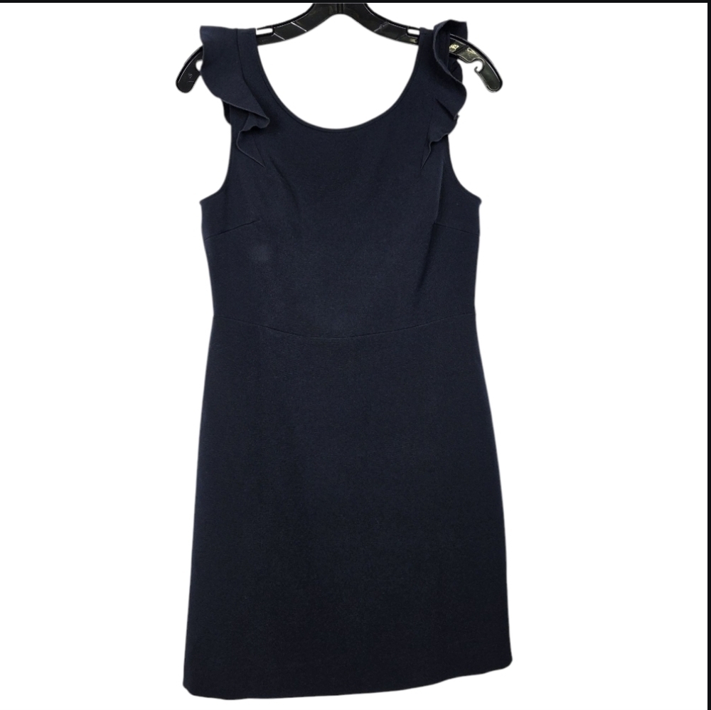 Club Monaco ruffle sleeves  Dress